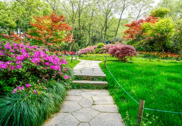 Landscaping